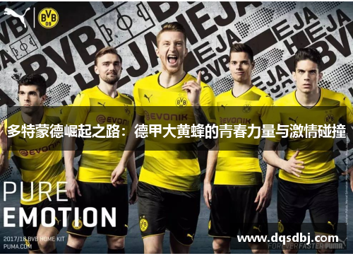 多特蒙德崛起之路:德甲大黄蜂的青春力量与激情碰撞 多特蒙德崛起之路:德甲大黄蜂的青春力量与激情碰撞