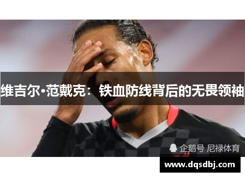 维吉尔·范戴克:铁血防线背后的无畏领袖 维吉尔·范戴克:铁血防线背后的无畏领袖