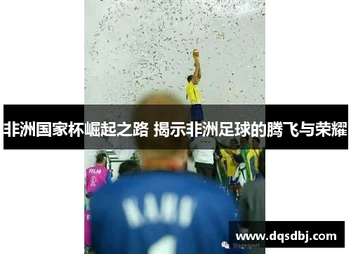 非洲国家杯崛起之路 揭示非洲足球的腾飞与荣耀 非洲国家杯崛起之路 揭示非洲足球的腾飞与荣耀