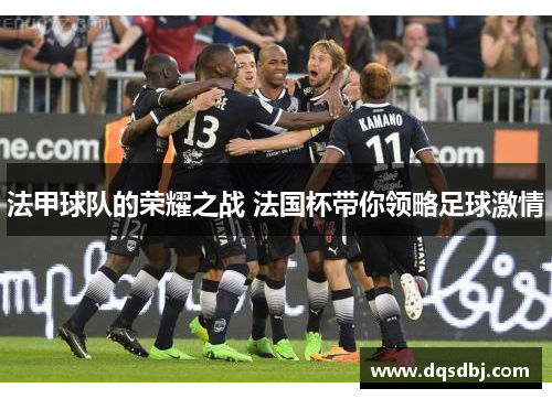 法甲球队的荣耀之战 法国杯带你领略足球激情