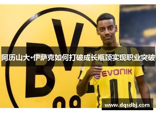 阿历山大·伊萨克如何打破成长瓶颈实现职业突破